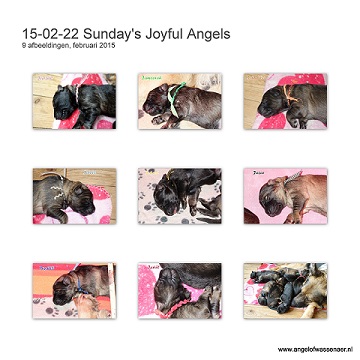 Sunday's Joyful Angels, met werkelijk prachtige kleuren